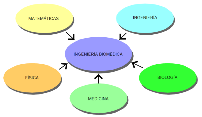 Estructura Carrera de Ingenier&iacute;a Biomedica